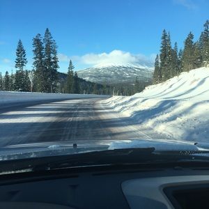 Meet your Posher, Noel